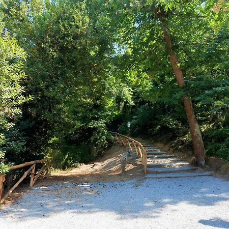 La Casa Sulle Mura - - A 15 Km Da Lucca